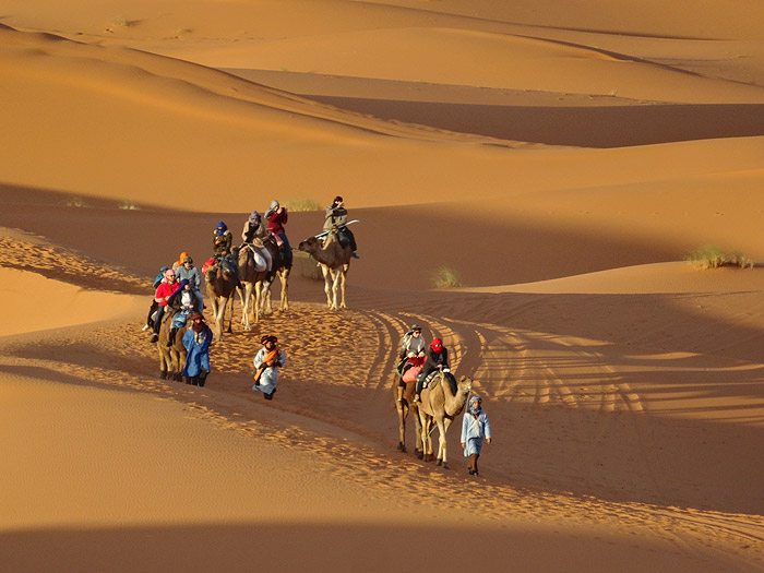 Camel Trekking Morocco, Auberge Café Du Sud